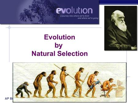 evolutionary theory dating